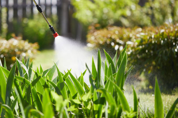 24/7 Emergency Termite Control experts in Fort Hall, ID