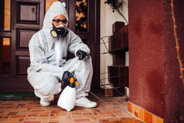 Reliable Termite Control contractor in Fort Hall, ID by Nex Pest Control